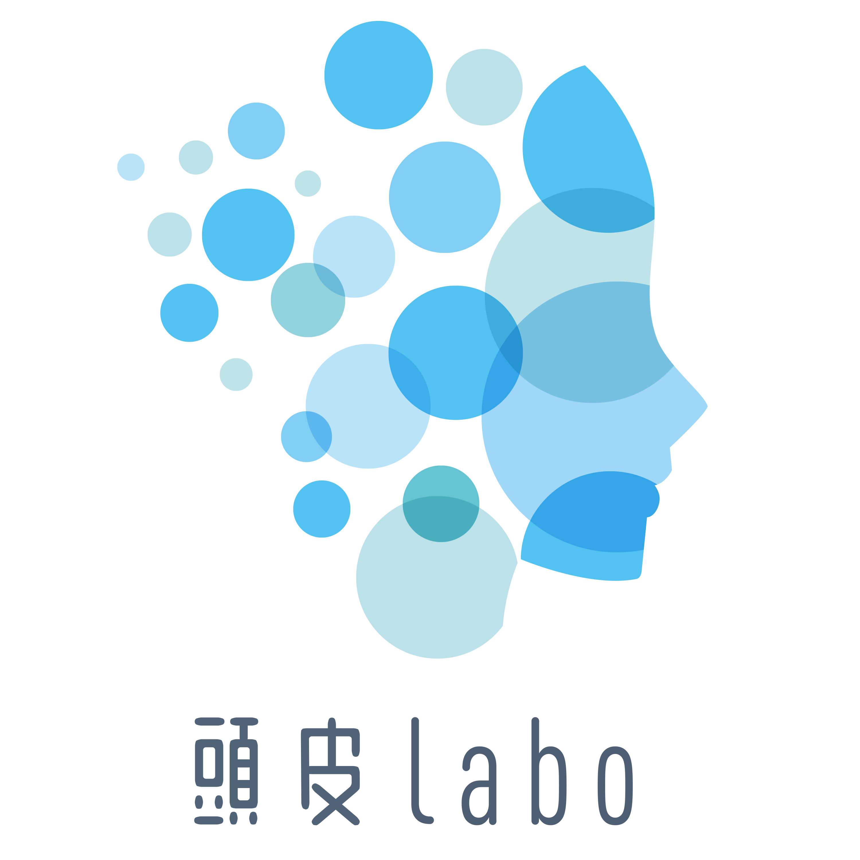 頭皮labo